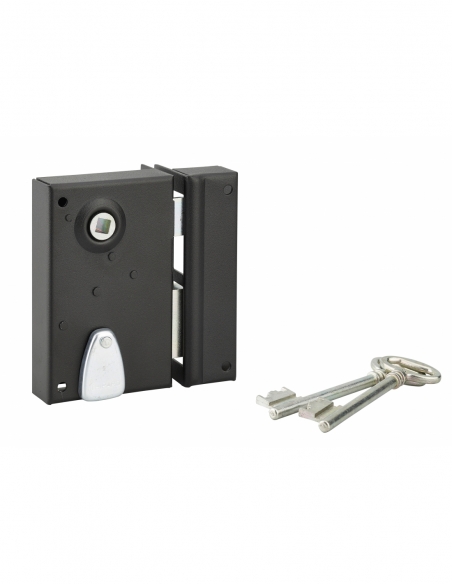 Serrure verticale en applique à clé à fouillot pour portail, droite, axe 40mm, 70x110mm, noir, 2 clés - THIRARD Serrures en a...