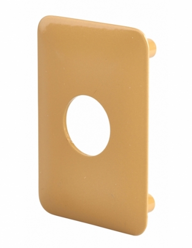 Plaque de renfort pour verrou Surveyor, fixation par vis, epoxy bronze - THIRARD Plaque de renfort