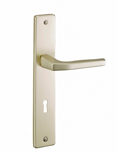 Ensemble de poignées pour porte intérieure Picardie trou de clé, carré 7mm, entr'axes 195mm, couleur champagne - THIRARD Poig...