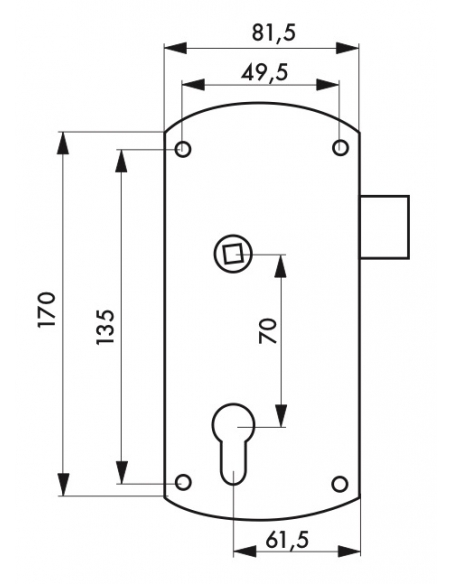 Boitier de serrure en applique double entrée à fouillot pour portail, réversible, axe 61.5mm, 81.5x170mm, noir - THIRARD Serr...