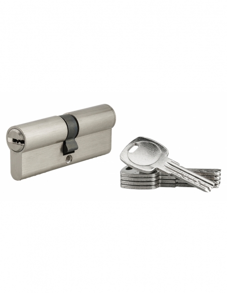 Cylindre de serrure à double entrée, 35x45mm, nickel, 5 clés réversibles - Serrurerie de Picardie Stock mort