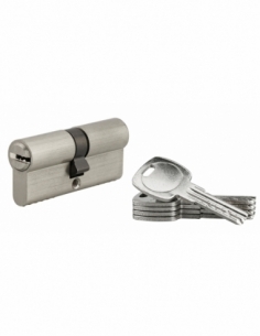 Cylindre de serrure à double entrée, 35x35mm, nickel, 5 clés réversibles - SP Cylindre de serrure