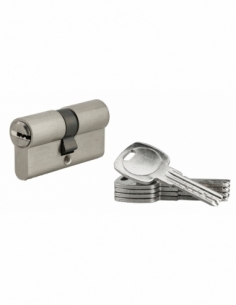 Cylindre de serrure à double entrée, 30x30mm, nickel, 5 clés réversibles - Serrurerie de Picardie Stock mort
