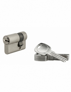 Demi-cylindre de serrure, 30x10mm, nickel, 5 clés réversibles - Serrurerie de Picardie Cylindre de serrure
