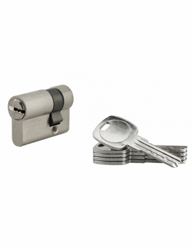 Demi-cylindre de serrure, 30x10mm, nickel, 5 clés réversibles - Serrurerie de Picardie Stock mort