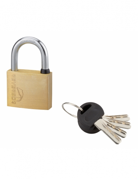 Cadenas à clé SP, extérieur, 40mm, anse acier cémenté nickelé, 4 clés réversibles - Serrurerie de Picardie Cadenas à clé