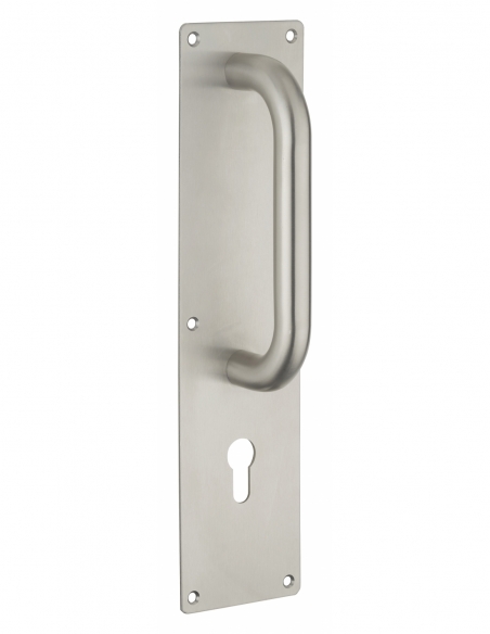 Poignée pour porte battante avec plaque inox, 300mm, pour cylindre profilé - THIRARD Poignée de porte battante