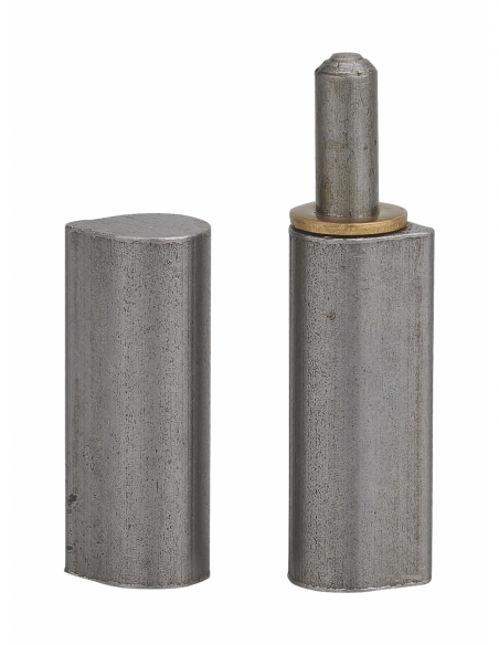 Paumelle de porte d'entrée / d'intérieur à souder, acier, H.80mm, bague laiton - THIRARD Paumelle de porte d'entrée
