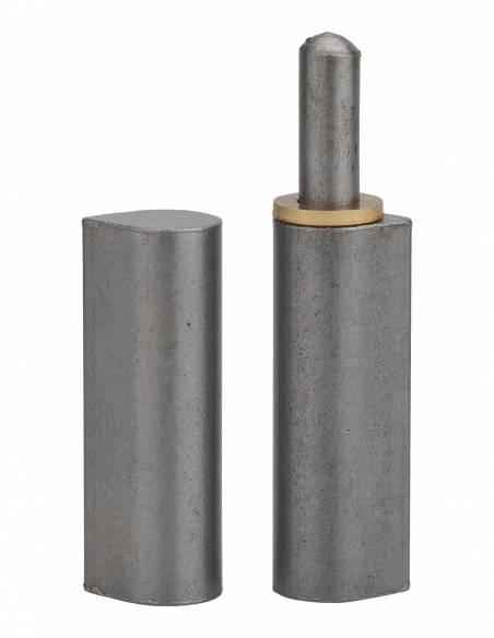 Paumelle de porte d'entrée / d'intérieur à souder, acier, H.140mm, bague laiton - THIRARD Paumelle de porte d'entrée