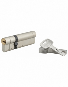 Cylindre de serrure double entrée Federal S, 32x65mm, nickel, anti-arrachement, anti-perçage, 5 clés - THIRARD Cylindre de se...