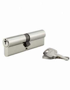 Cylindre de serrure double entrée, 50x50mm, anti-arrachement, nickel, 3 clés - THIRARD Cylindre de serrure