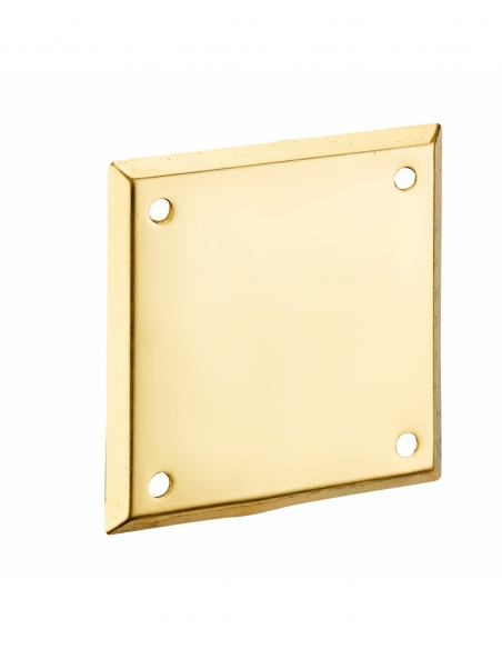 Plaque de propreté, 60x60mm, laiton - THIRARD Plaque de propreté