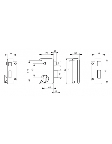 Boitier de serrure verticale en applique double entrée à fouillot pour portail, droite, axe 45mm, 75x130mm, noir - THIRARD Se...