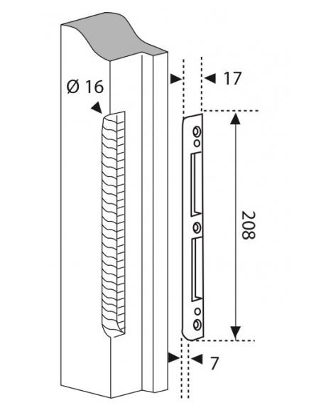 Gâche centrale encastrable réversible pour porte d'entrée, 208x17x7mm, Europa, G-22864-00-0-1 - FERCO by THIRARD Gâche de porte