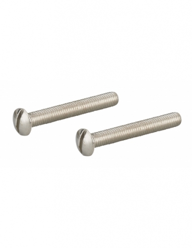Jeu de 2 vis, M5x40, zingué - THIRARD Vis