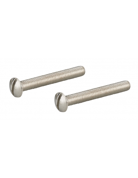 Jeu de 2 vis, M5x40, zingué - THIRARD Vis