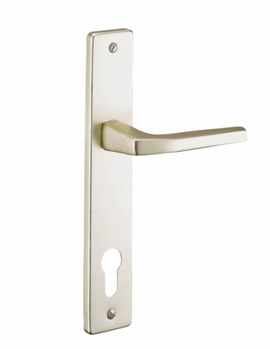 Ensemble de poignées pour porte d'entrée Picardie trou de cylindre, carré 7mm, entr'axes 92mm, couleur champagne - THIRARD Po...