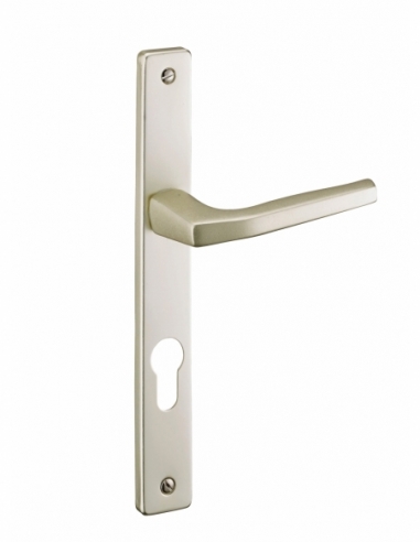 Ensemble de poignées Picardie pour porte d'entrée, trou de cylindre, entr'axes de 195mm, carré7mm, couleur champagne - THIRAR...
