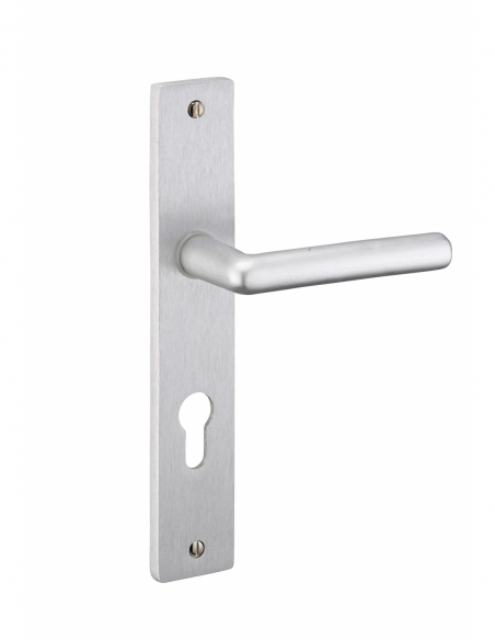 Ensemble de poignées pour porte d'entrée Crecy trou de cylindre, carré 7mm, entr'axes 195mm, anodisé argent - THIRARD Poignée