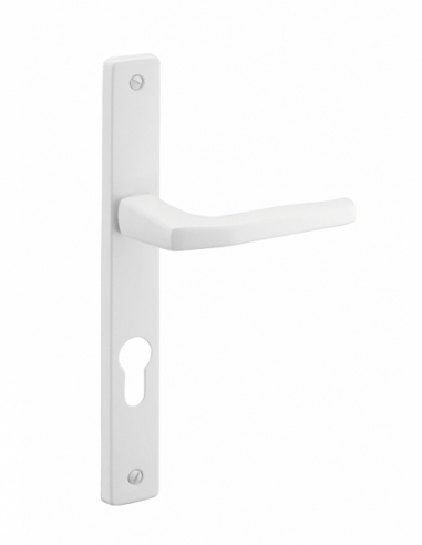 Paire de poignées trou de cylindre Picardie pour porte d'entrée, laqué blanc - THIRARD Poignée