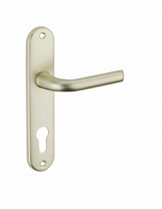Ensemble de poignées pour porte d'entrée Leto trou de cylindre, carré 7mm, entr'axes 165mm, couleur F2 - THIRARD Poignée de p...