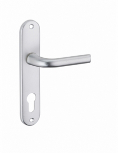 Ensemble de poignées pour porte d'entrée Leto trou de cylindre, carré 7mm, entr'axes 165mm, argent - THIRARD Poignée de porte...