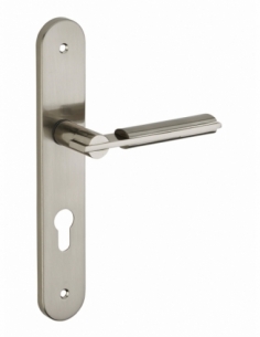 Ensemble de poignées pour porte d'entrée Gaia trou de cylindre, carré 7mm, entr'axes 195mm, nickelé brossé - THIRARD Poignée ...