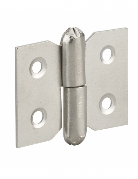 Paumelle de porte de meuble / porte légère, 30x40mm, acier, droite - THIRARD Paumelle de porte de meuble