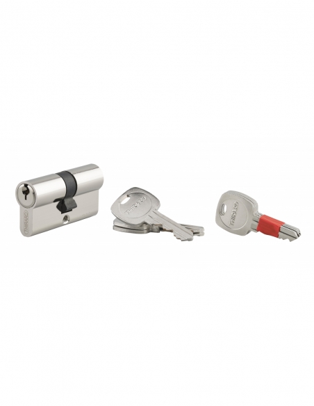 Cylindre de serrure clé modifiable, 30x30mm, anti-arrachement, anti-perçage, nickel, 2x3 clés - THIRARD Cylindre de serrure