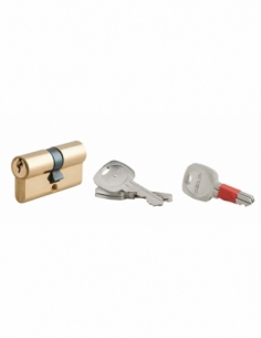 Cylindre de serrure double entrée clé modifiable, 30x30mm, anti-arrachement, anti-perçage, laiton, 2x3 clés - THIRARD Cylindr...