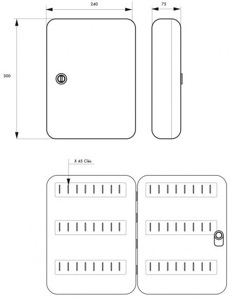 Armoire à clé Kibox, serrure à cylindre, capacité de 45 clés - THIRARD Armoire à clé