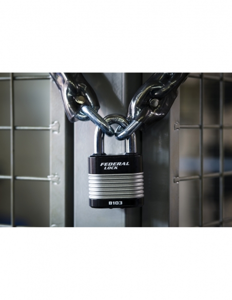 Cadenas à clé Fédéral Lock Protector, extérieur, acier, double verrouillage, 50mm, 2 clés - THIRARD Cadenas