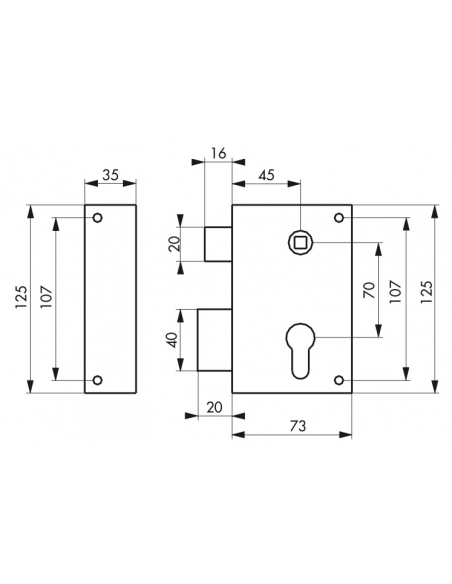 Boitier de serrure verticale en applique double entrée à fouillot pour portail, gauche, axe 45mm, 73x125mm, inox - THIRARD Se...