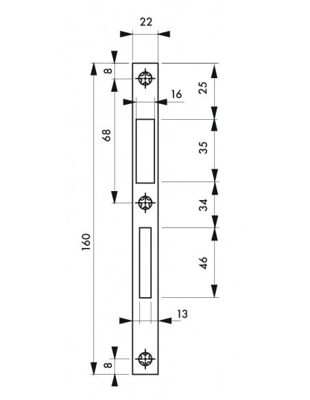 Gâche plate inox, coffre réduit 160 x 22 x 1,5 mm - THIRARD Gâche de porte