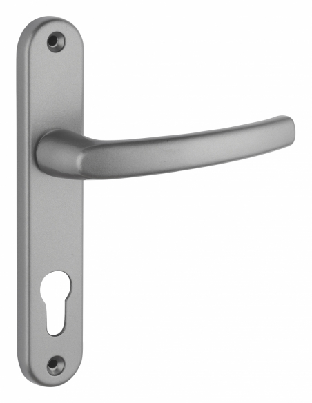 Ensemble de poignées pour porte d'entrée Sultane trou de cylindre, carré 7mm, entr'axes 165mm, inox F9 - THIRARD Poignée