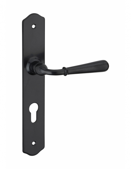 Ensemble de poignées pour porte d'entrée Charon trou de cylindre, carré 7mm, entr'axes 195mm, acier patiné - THIRARD Poignée ...