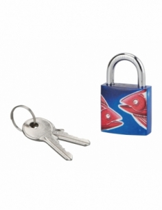 Cadenas à clé Poisson, acier, intérieur, anse acier, 30mm, 3 clés - THIRARD Cadenas à clé