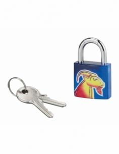 Cadenas à clé Capricorne, acier, intérieur, anse acier, 30mm, 3 clés - THIRARD Cadenas à clé