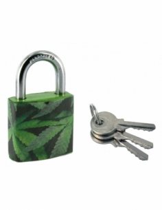 Cadenas à clé Green Idea Chanvre, acier, intérieur, anse acier, 30mm, 2 clés - THIRARD Cadenas à clé