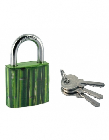 Cadenas à clé Green Idea Bambou, acier, intérieur, anse acier, 30mm, 2 clés - THIRARD Cadenas à clé