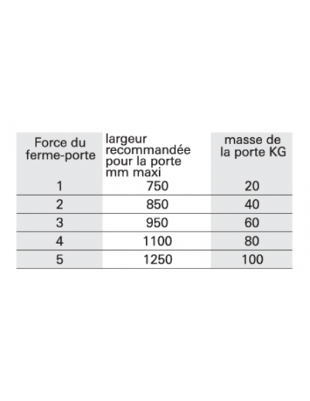 Ferme-porte automatique hydraulique force 3, argent - THIRARD Ferme porte