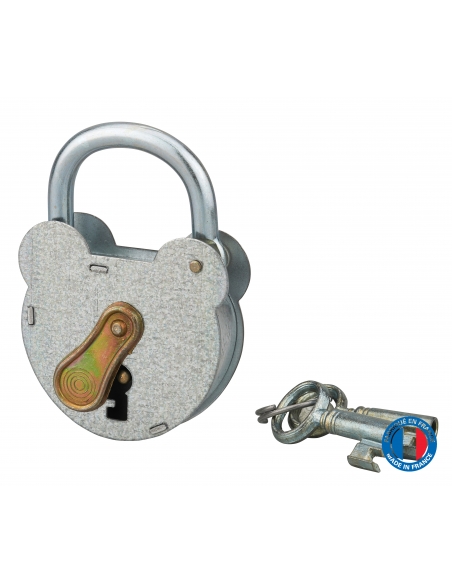 Cadenas à clé 2493, acier, extérieur, anse zinguée, 55mm, 2 clés - THIRARD Cadenas à clé