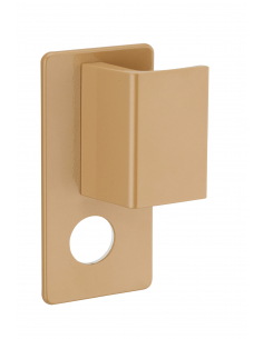 Poignée Targa A2P* pour porte palière, droite, cylindre Ø 30mm, or - THIRARD Poignée de porte