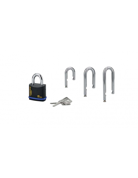 Cadenas à clé Fédéral Lock S900R, acier, chantier, anse molybdène, 63.5mm, 2 clés, noir - THIRARD Cadenas