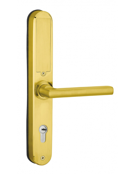 Paire de poignées connectées Intelock Multi, pour porte d'entrée, entr'axes 85mm, doré - INTELOCK Contrôle d'accès