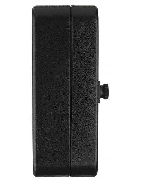 Armoire à clés à combinaison, 3 chiffres, capacité 30 clés, 200x160x75mm, époxy noir - THIRARD Armoire à clé