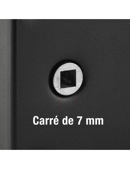 Serrure verticale en applique 6 gorges à tirage pour entrée, gauche, axe 45mm, carré 7mm, 75x130mm, noir, 2 clés - THIRARD Se...