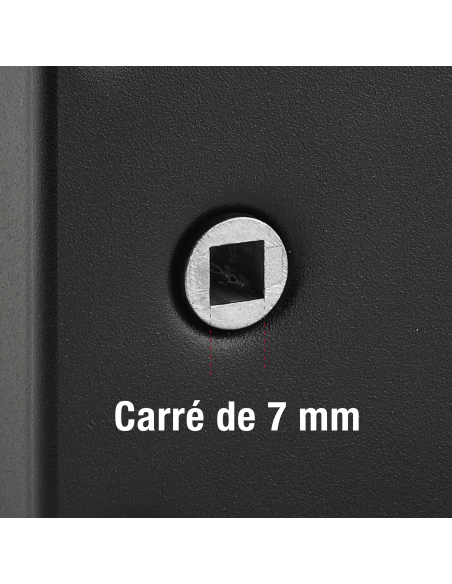 Serrure horizontale en applique à clé à fouillot pour portail, gauche, axe 56mm, 140x88mm, noir, 2 clés - THIRARD Serrures en...