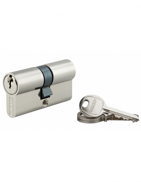 Cylindre de serrure double entrée SA UNIKEY (achetez-en plusieurs, ouvrez avec la même clé), 30x30mm, 3 clés, nickelé - THIRA...