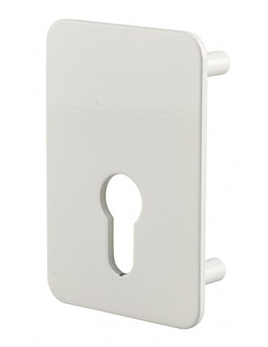 Plaque de renfort cylindre profilé pour verrou Capital, fixation par vis, époxy blanc - THIRARD Plaque de renfort